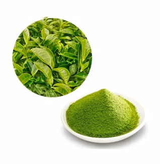 Premium Organic OEM Matcha Powder Natural Matcha Green Tea