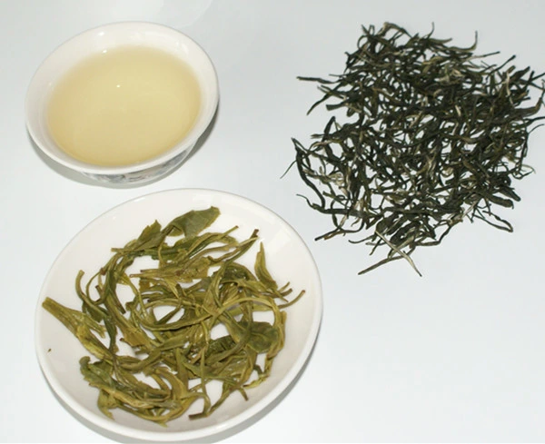 Hunan Province High Premium Chinese Green Tea Guzhang Maojian Green Tea Brand