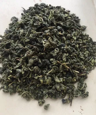 ウズベキスタン、カザフスタン用中国緑茶火薬9501、3505、9374