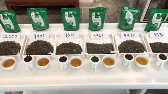 Chunmee Tea 9371、8147、9367、9366 緑茶卸売